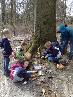 files/kinderkulturwelt/Archiv/landart 2011.jpg